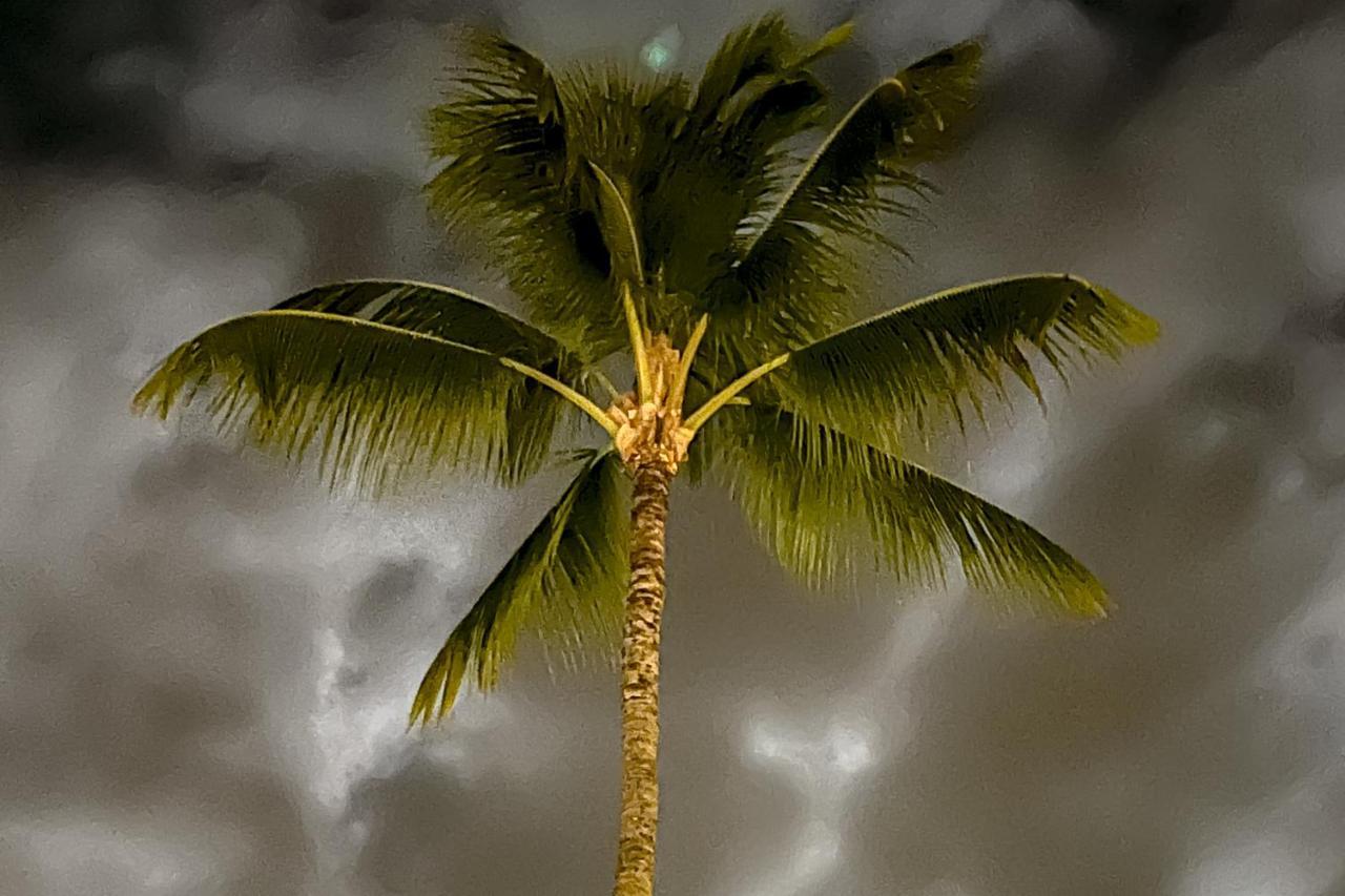 A Little Aloha Apartman Kailua Kültér fotó